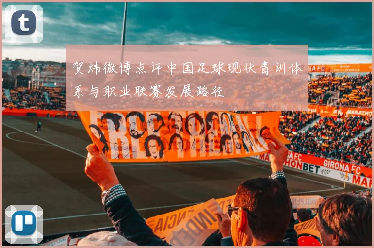 贺炜微博点评中国足球现状青训体系与职业联赛发展路径
