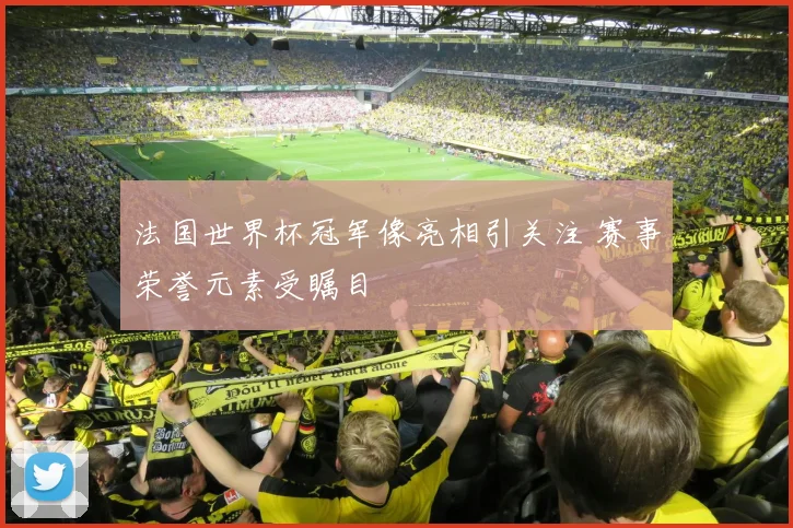 法国世界杯冠军像亮相引关注 赛事荣誉元素受瞩目