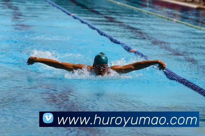 多媒体互动体验